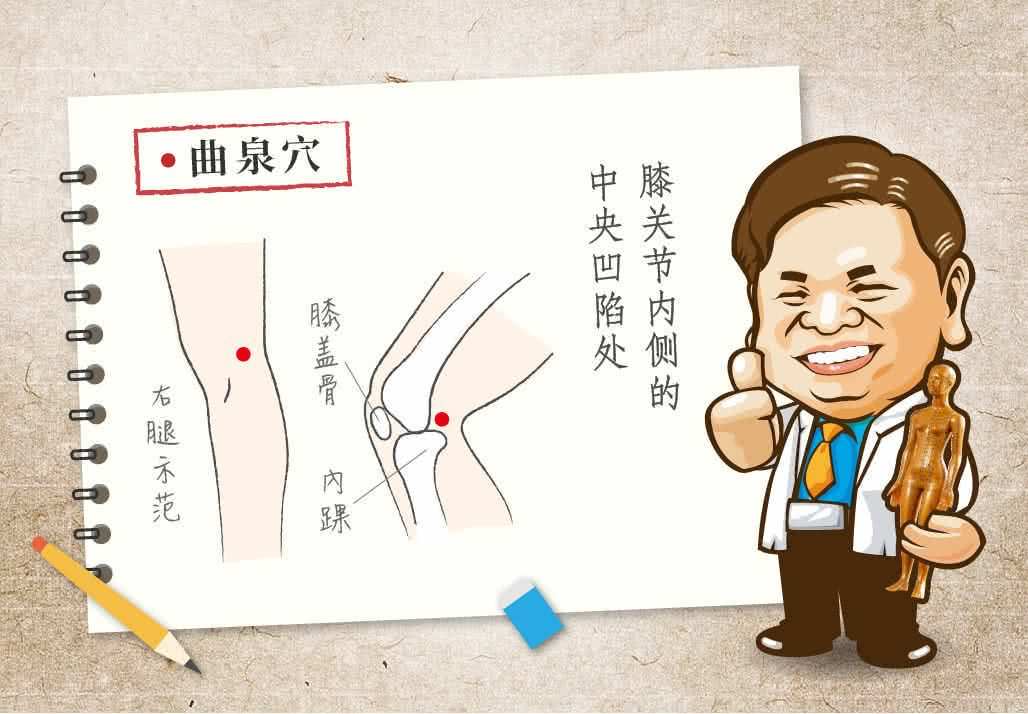 曲泉穴